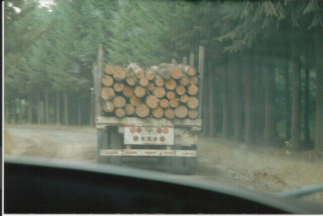 2007. Finally we were leaving CD's territory, while driving behind a CD's truck with timber...